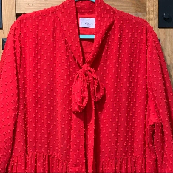 DJ Maxi Length Red Dress - Picture 1 of 6